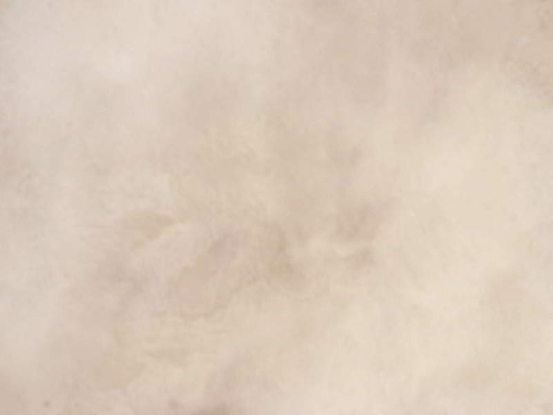 Mocha microcement finish sample