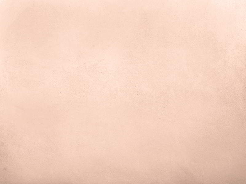 Siena microcement finish sample